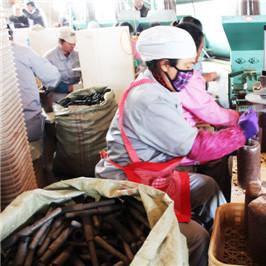 北味菌业最新动态，深度解读最新消息