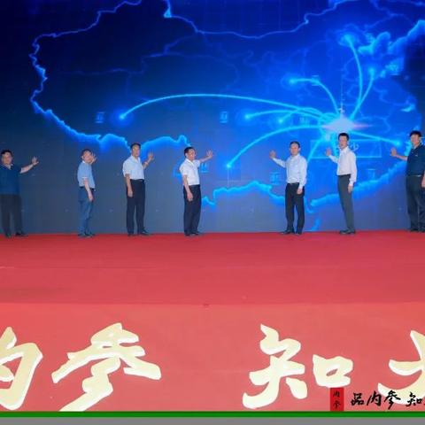 华鼎股份股票最新动态深度解析