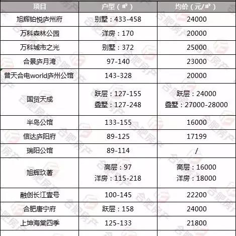 合肥庐阳工业园区发展动态解析，最新进展与趋势分析