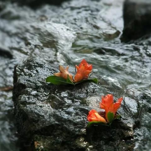 湖北枣石高速最新消息全面解读