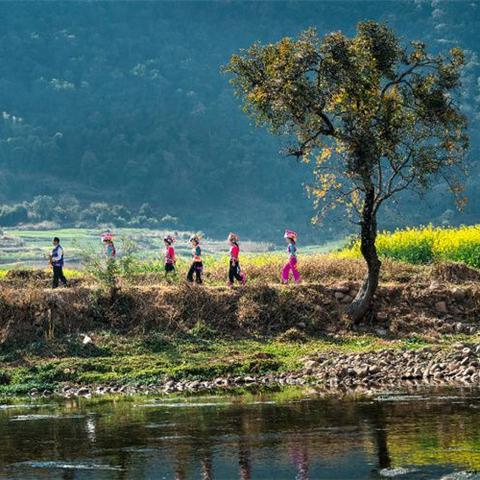 成昆高速公路最新动态，建设进展、规划调整与未来展望