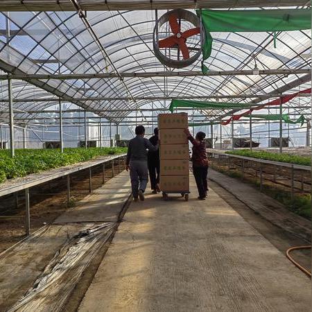 云梦工厂最新招聘资讯,岗位更新通知