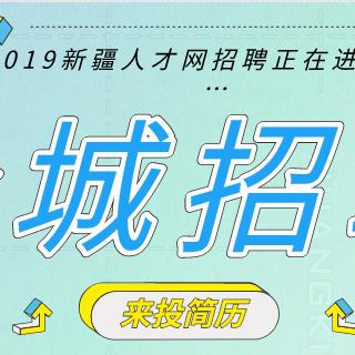 新疆人才市场最新招聘动态深度解析