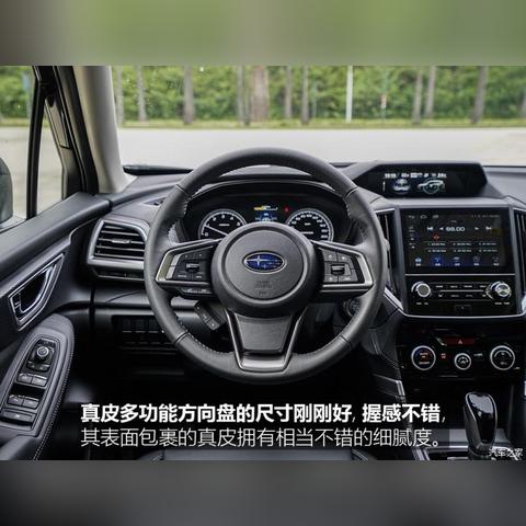 森林人换代最新深度报道消息