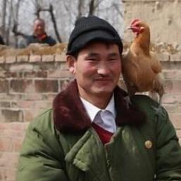 朱之文最新出场费揭秘，一线农民歌手的身价与故事揭秘