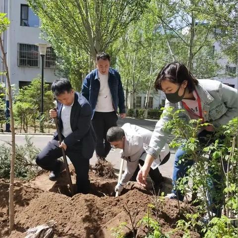 全民赢三张最新版游戏，新体验与数据分析揭秘