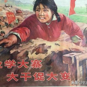 湖北卫视五谷丰登展现农业新貌与乡村振兴风采