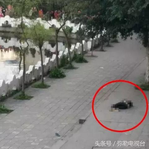 在线留言 第73页