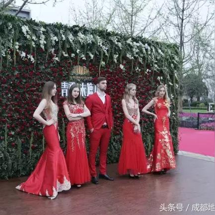 青秀未遮山最新动态全面解读