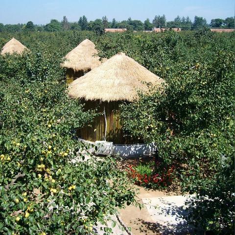 商丘旅行社最新旅游线路及优惠报价