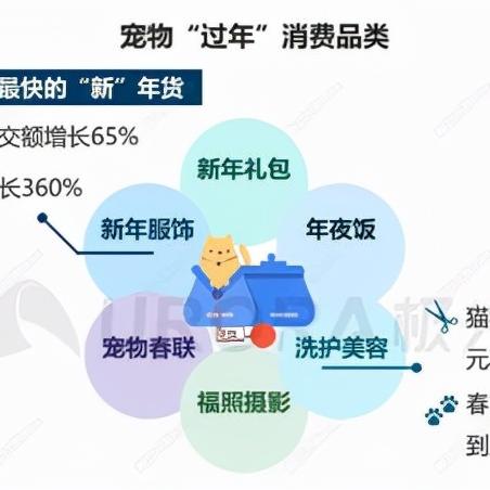淘宝最新公告发布，重塑购物体验与商家政策调整