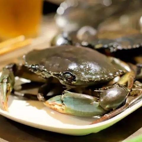 餐饮最新资讯深度解析，行业数据与创新趋势观察