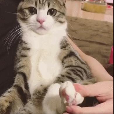 最新指甲图研究报告揭秘，最新指甲图案趋势分析