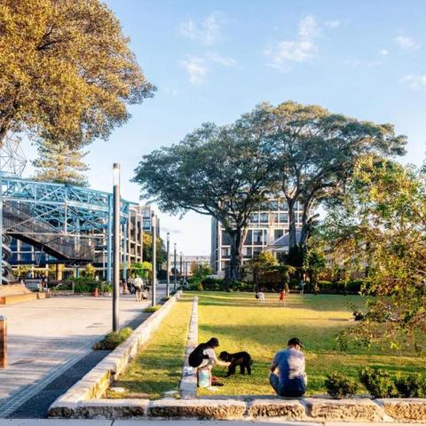 最新纽干，重塑城市新动力与面貌