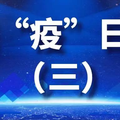 鏖战襄阳最新动态解析
