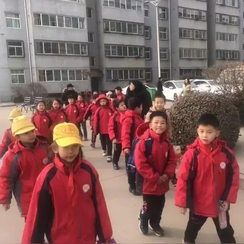 小豆丁成长报告，最新进展与未来展望