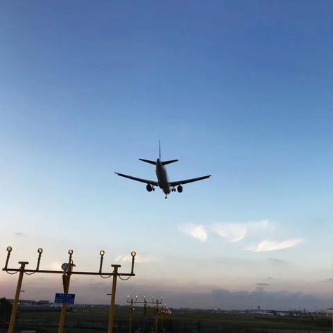 南航最新公告发布，内容更新不容错过