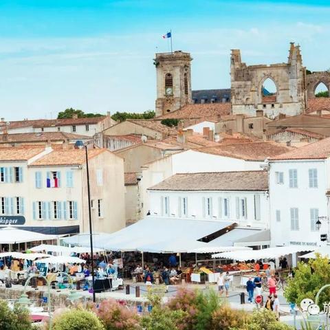 阿尔卑斯最新广告，探索甜蜜秘密乐园，尽享无限惊喜！