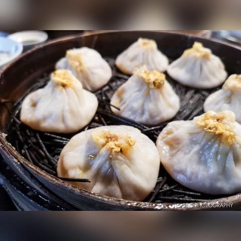 无锡文化与科技盛宴，最新活动盛大开启