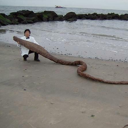 全球生物科学资讯深度解析，最新动态与研究成果