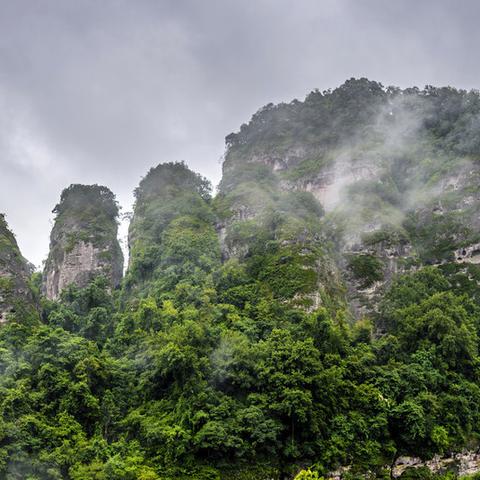 梅州公交车路线最新指南，全面解析最新路线