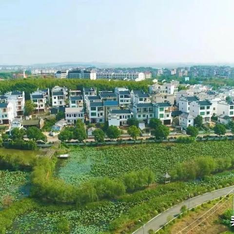 江西瑞洪镇最新动态更新，瑞洪镇新闻速递