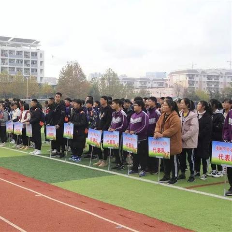 曲阜信息港最新消息解读，全面更新资讯