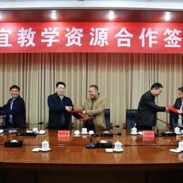 奉新人才网最新招聘信息解析及招聘动态速递