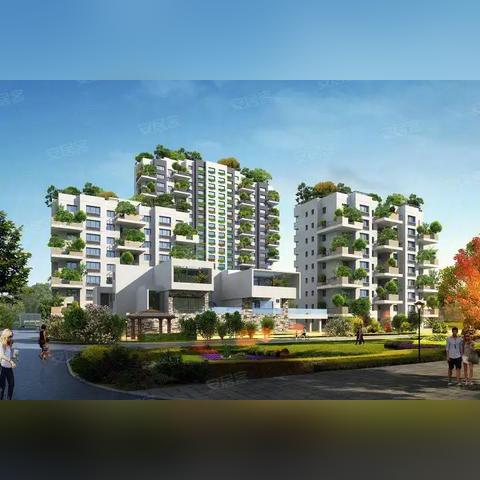 雄安新区最新动态更新，今日焦点新闻