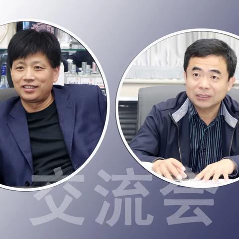 宁晋县最新道路规划详解，规划解析与道路走向分析