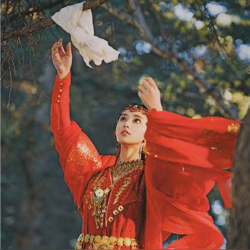 波播最新版下载官网，功能特色详解与官方下载渠道