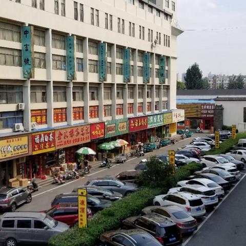 中国茶府动态更新，最新消息汇总