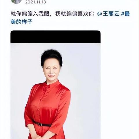 王丽云最新电视剧，深度解析与期待热剧上线