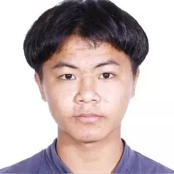 东方网络股票最新动态深度解读