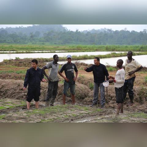 中国交建最新动态消息发布今日更新