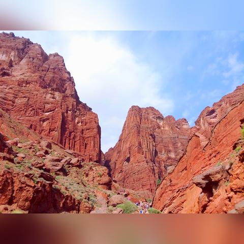 由山由谷最新动态速递