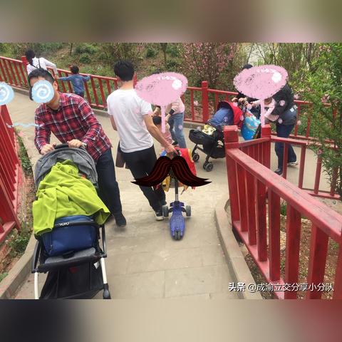 成渝立交改造最新深度报道，最新消息汇总