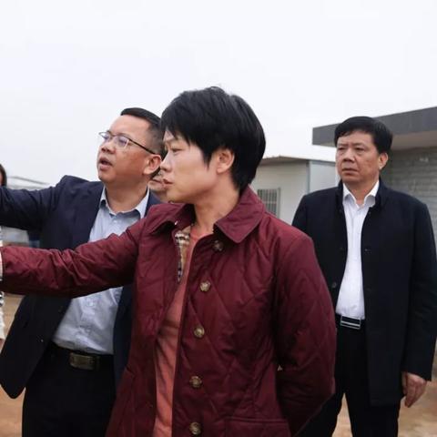 漳州市龙文区最新规划概览，区域发展新蓝图