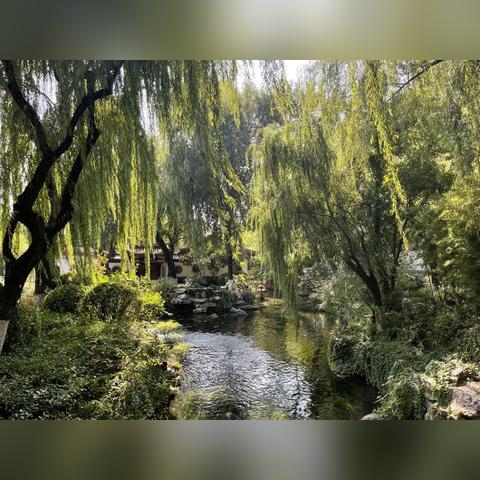 ＂最优质：2025精准资料免费提供＂的：实地观察解释定义_多功能版8.26