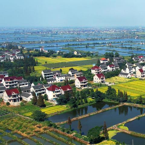 嘉兴发展规划最新消息解读，深度剖析最新动态