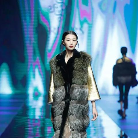 生态5重组最新动态或 生态5重组最新进展消息