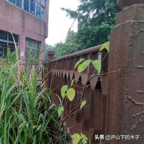 瑞昌长江大桥最新进展揭秘，工程进展顺利！