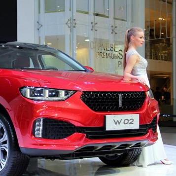 魏派W01最新消息深度解析