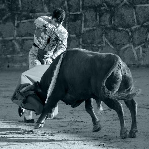 斗牛牛软件最新版体验报告,功能升级大解析