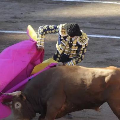 斗牛牛软件最新版体验报告,功能升级大解析