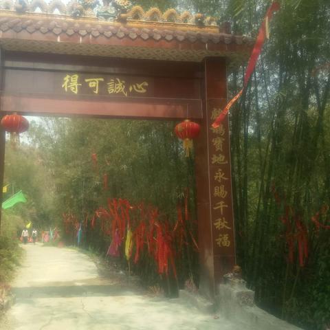 平南撤县设市进展更新，最新消息汇总