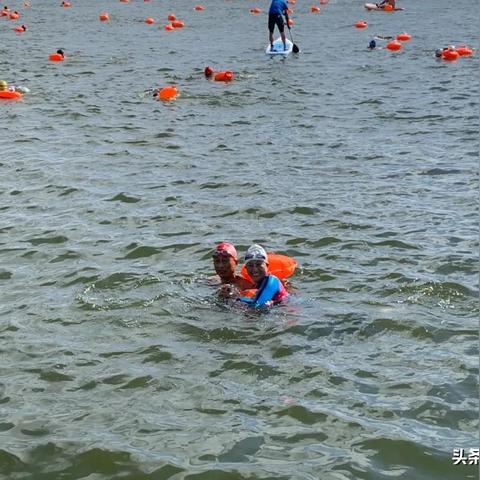 淮河入海二期工程最新深度报道，最新消息揭秘