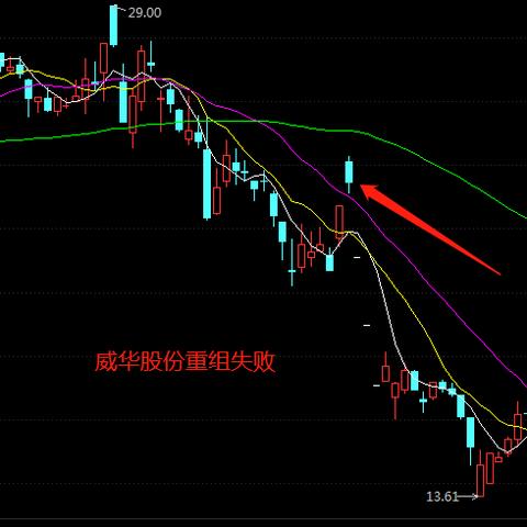昌九生化最新动态解析，最新消息汇总