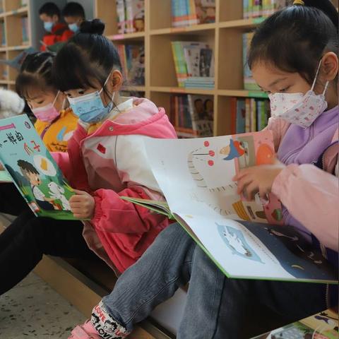 手机QQ 2025最新版下载安卓版，全新功能与特色体验