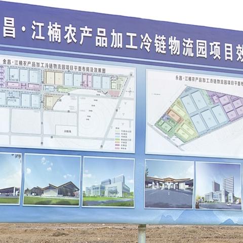 金昌洋葱最新市场行情分析与价格走势预测